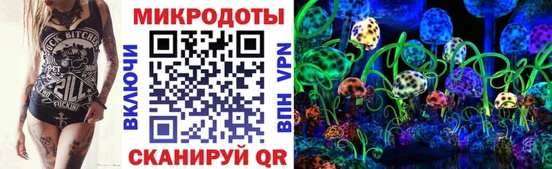 наркотики  Серпухов  Псилоцибиновые грибы Cubensis 